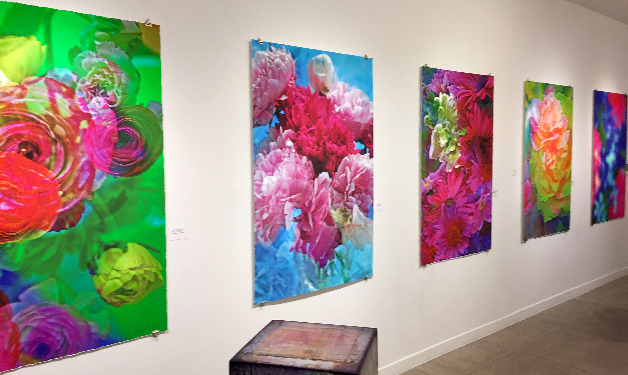 Johnny Nicoloro at Ted Casablanca, Palm Springs Feb/March 2016