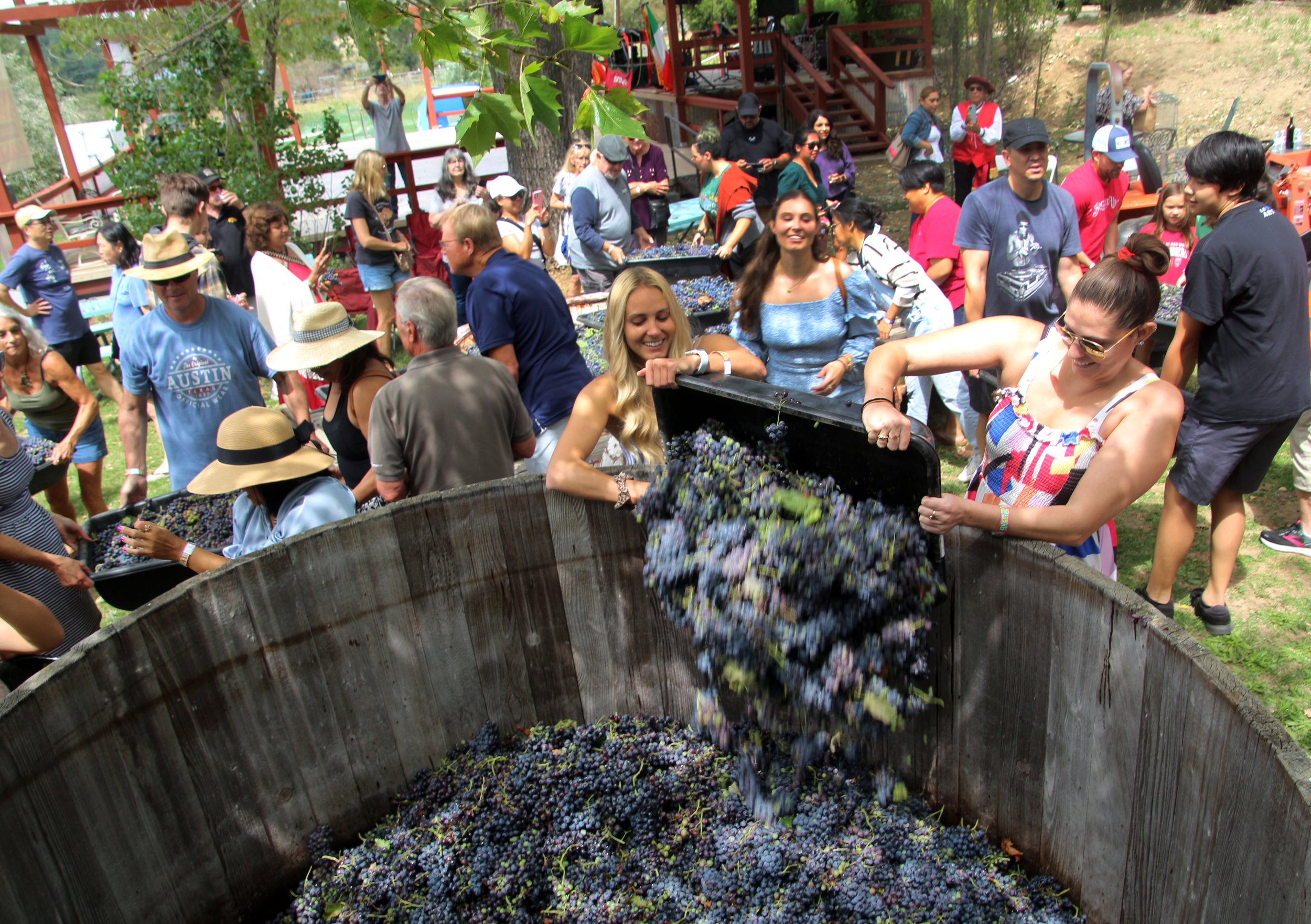 Girls pouring grapes, Menghini winery 2023.jpg