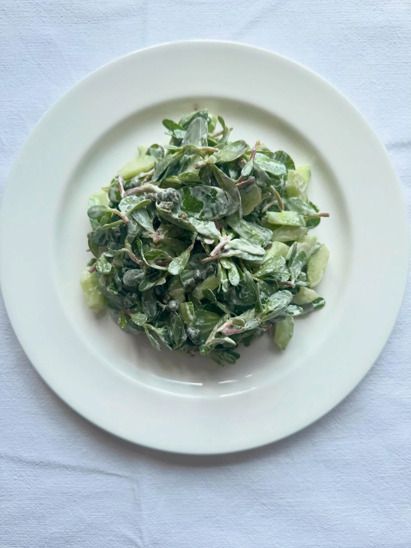 Here&rsquo;s that delicious garlic buttermilk dressing again because I can&rsquo;t get enough and she&rsquo;s a beauty. This time with @fairyhill.marketgarden purslane, cucumber and capers 👌