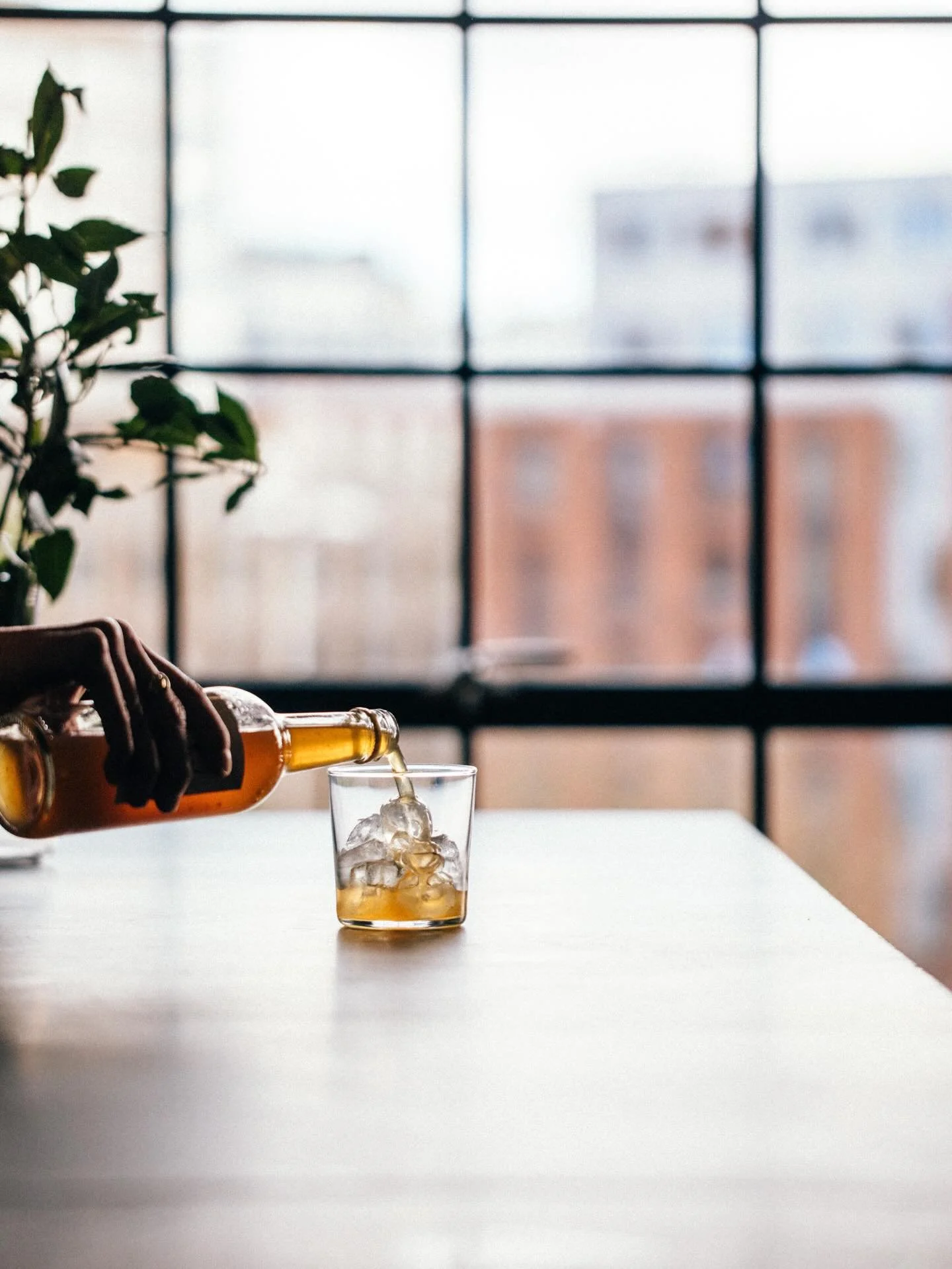 We make our oxymel by cold infusing fresh rosemary, thyme, orange zest and wormwood in @wildingcider vinegar for three weeks before blending it with Welsh honey. It has a complex depth of flavour with a bitter edge making it the perfect alcohol free 