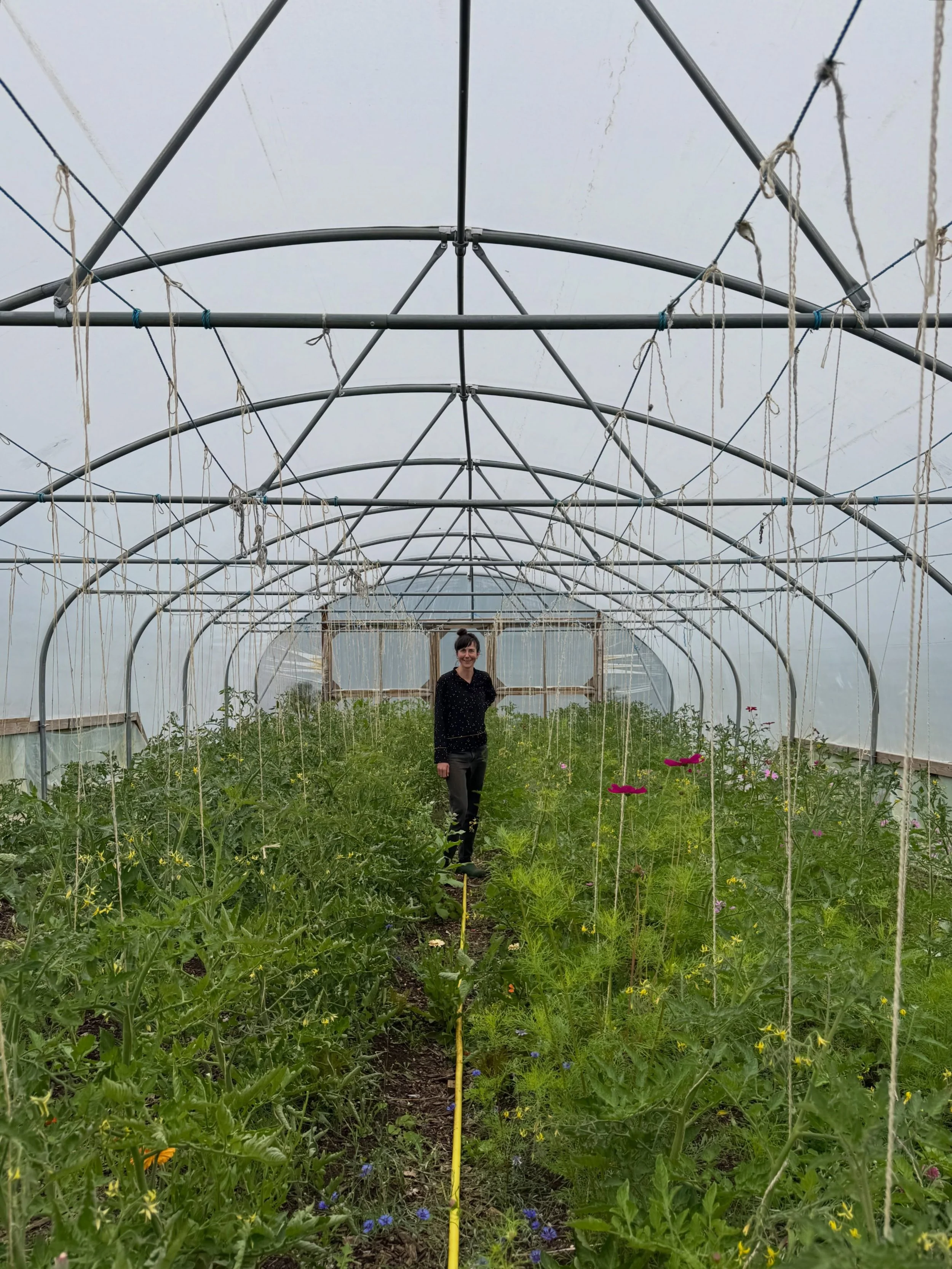 Dan, Bri, Carly, Max and I took a little lunch up to visit Dani @fairyhill.marketgarden and see where&nbsp;her growing&nbsp;magic happens 💫 It was great to be back and see the changes&nbsp;and tweaks that Dani has made since we last visited. Such a 