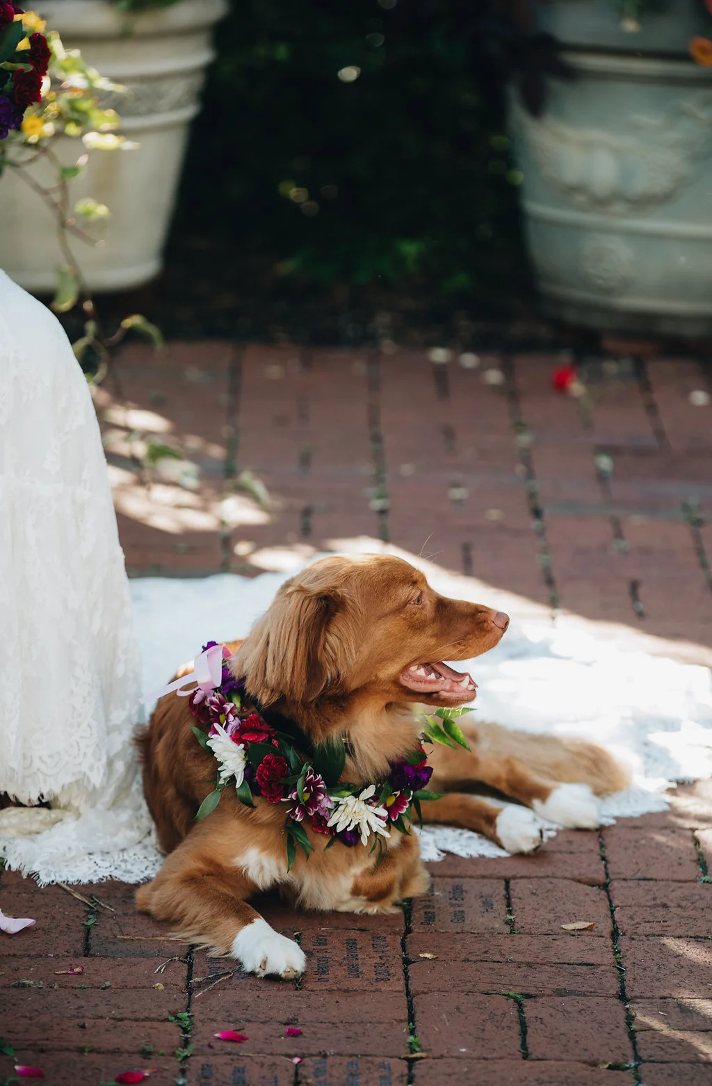 ChettaraTPhotography-200.jpg