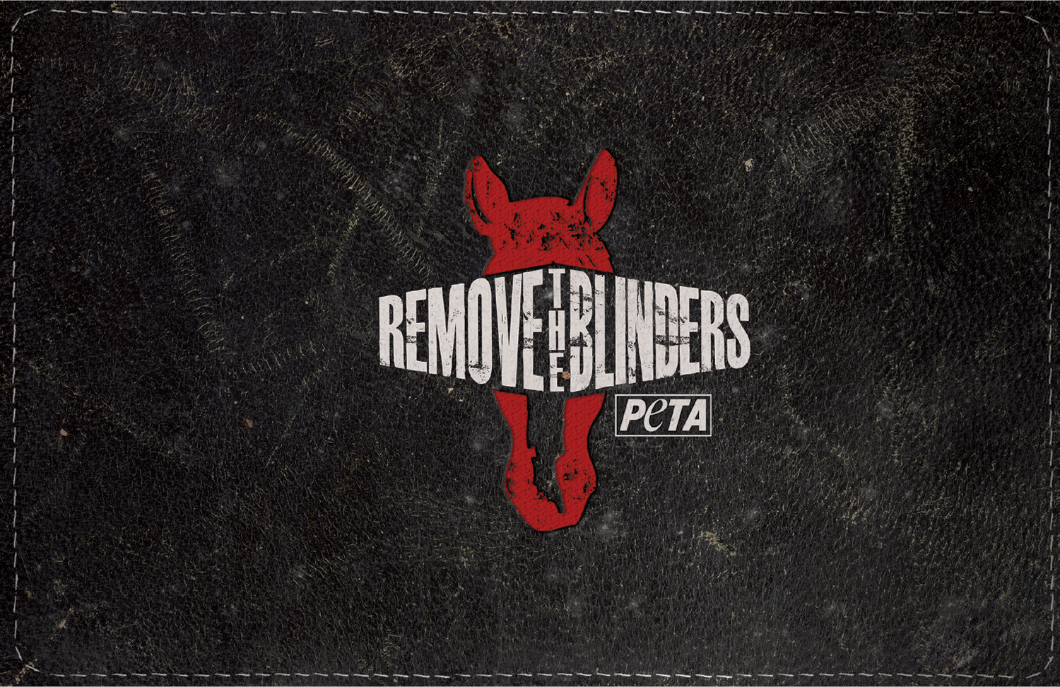 RemoveBlinders_Integrated_Portfolio42.png