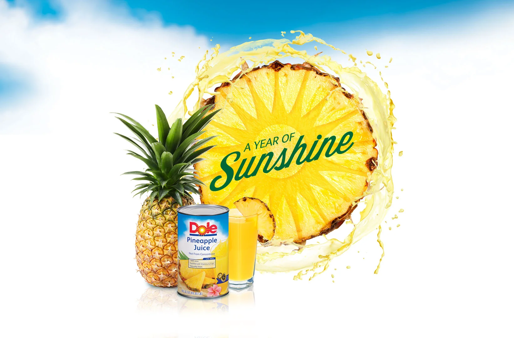 dole.-pineapple-juice.-2014-year-of-sunshine-campaign.-key-art-2.jpg