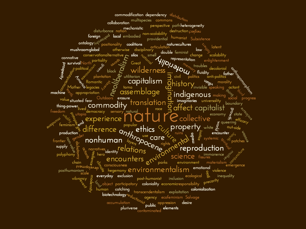 Beyond Political Ecology