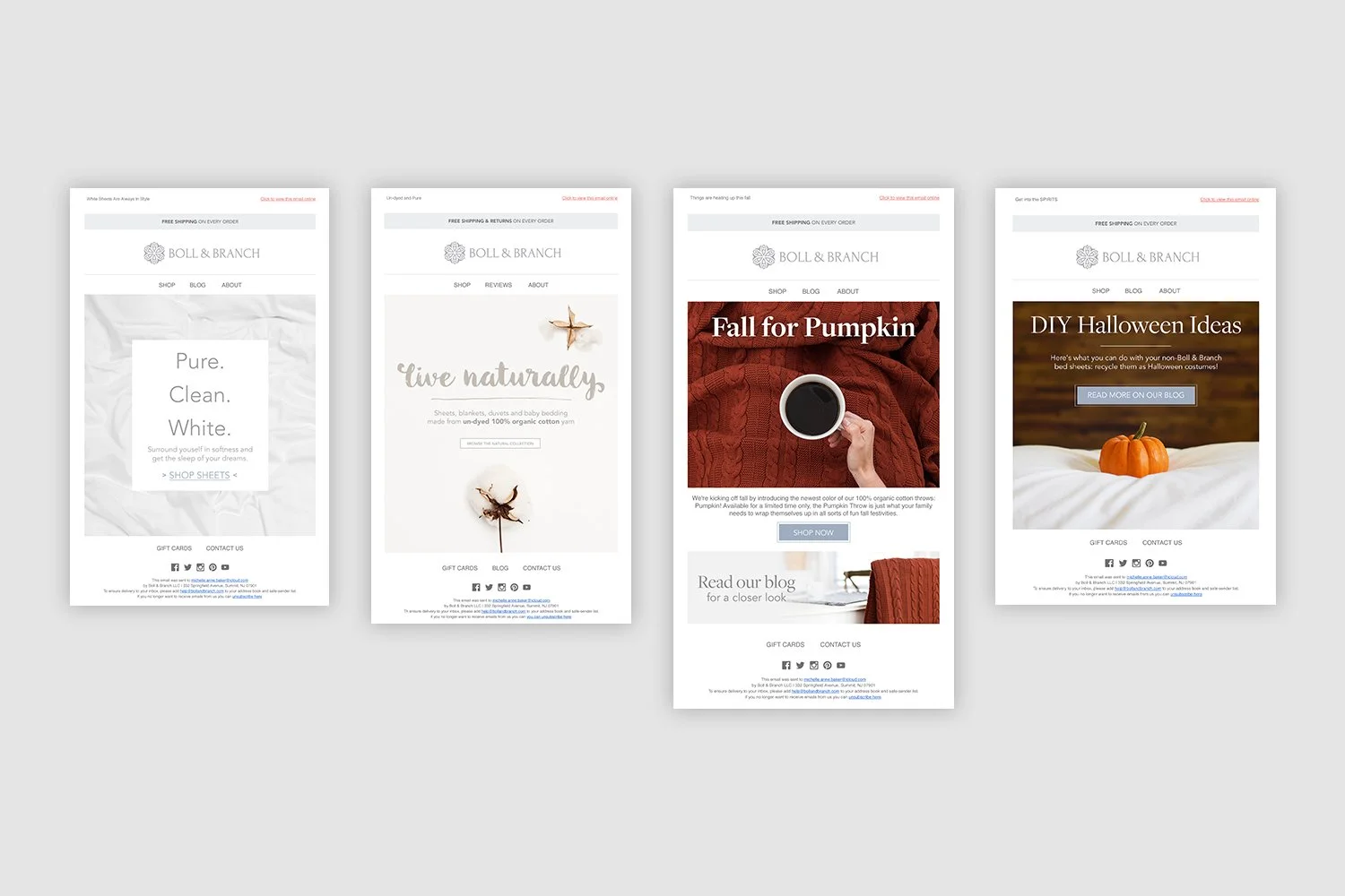 B&B-Digital-Campaign-Emails.jpg