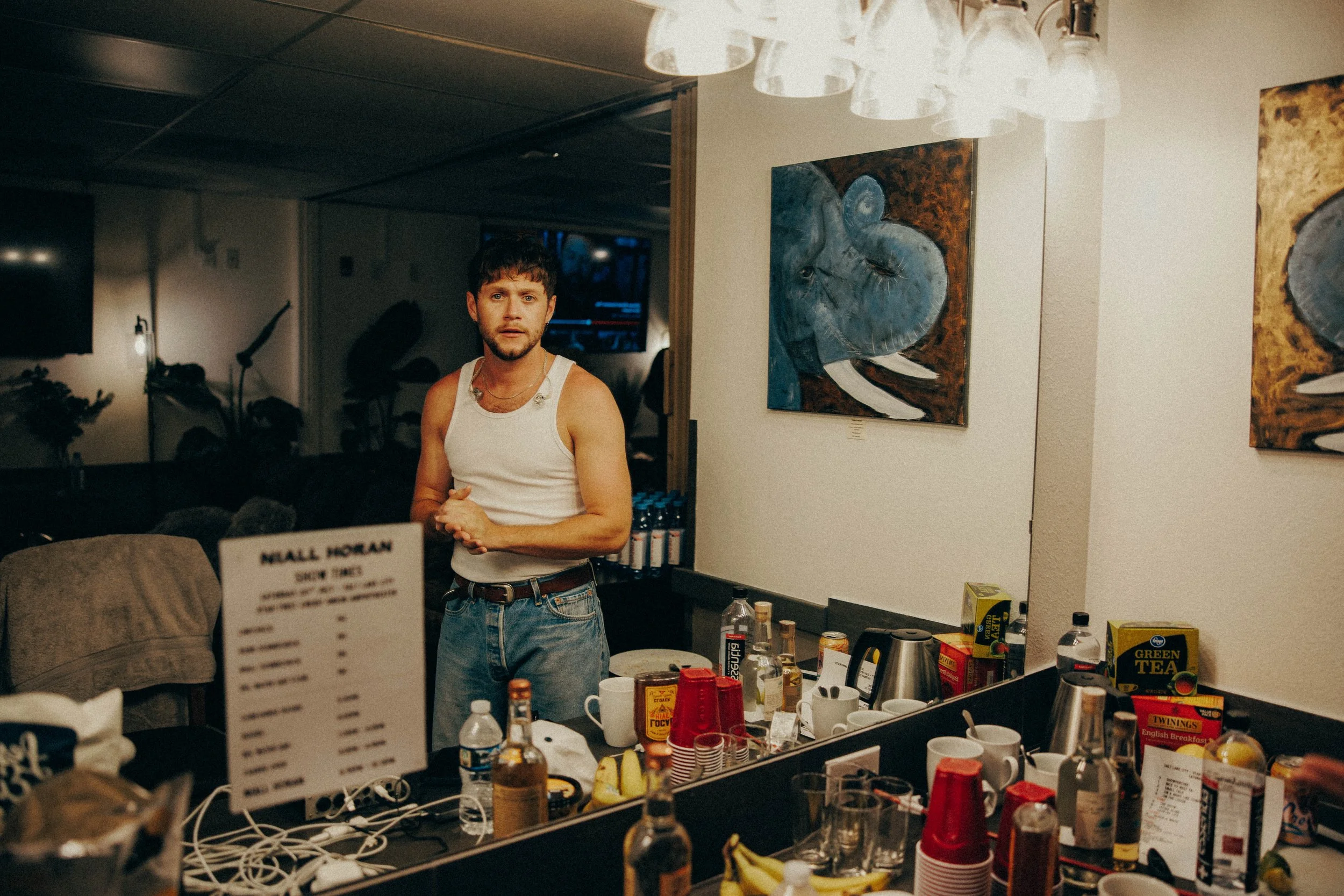 Niall Horan The Show Salt Lake City-6.jpg