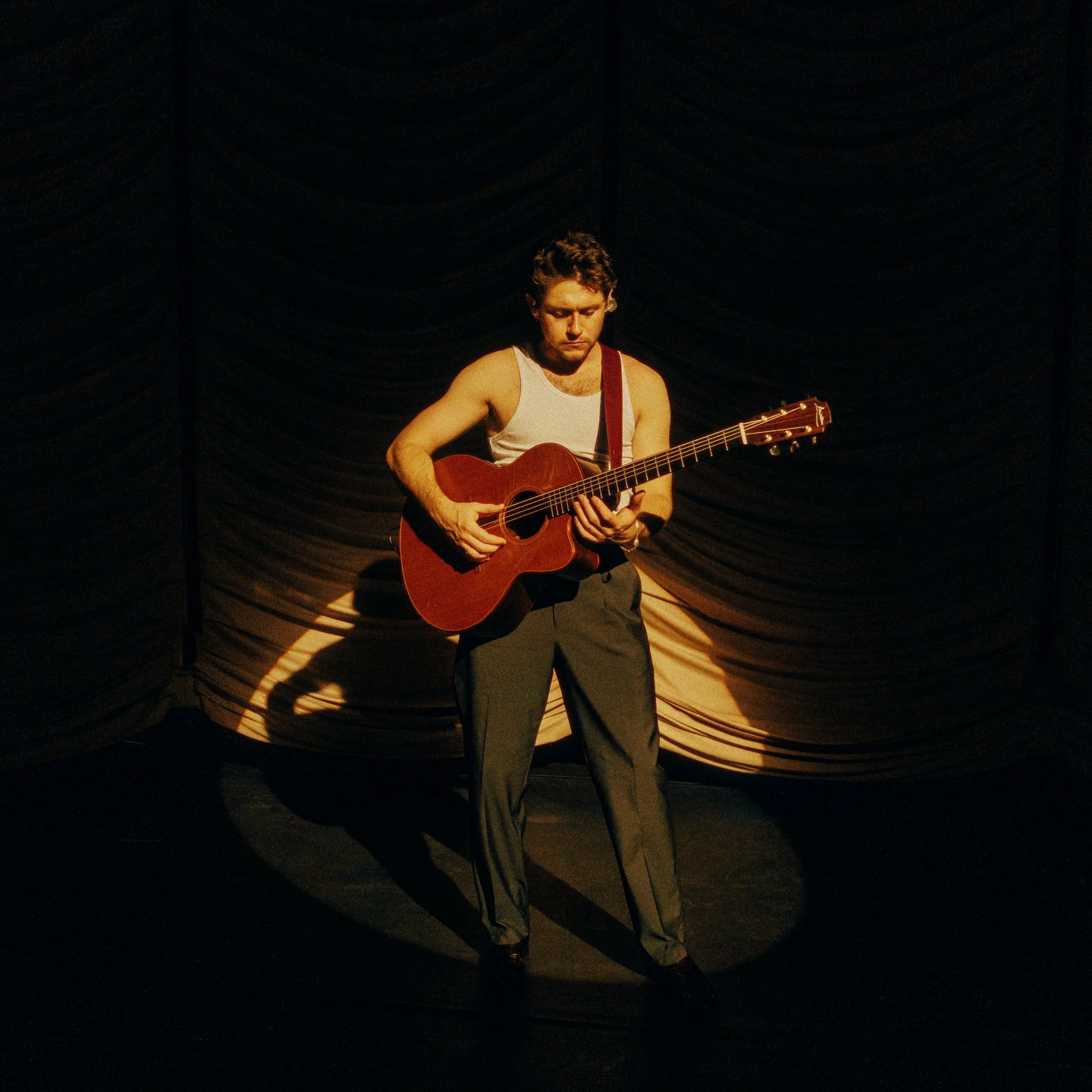 Niall Horan The Show edit-2.jpg