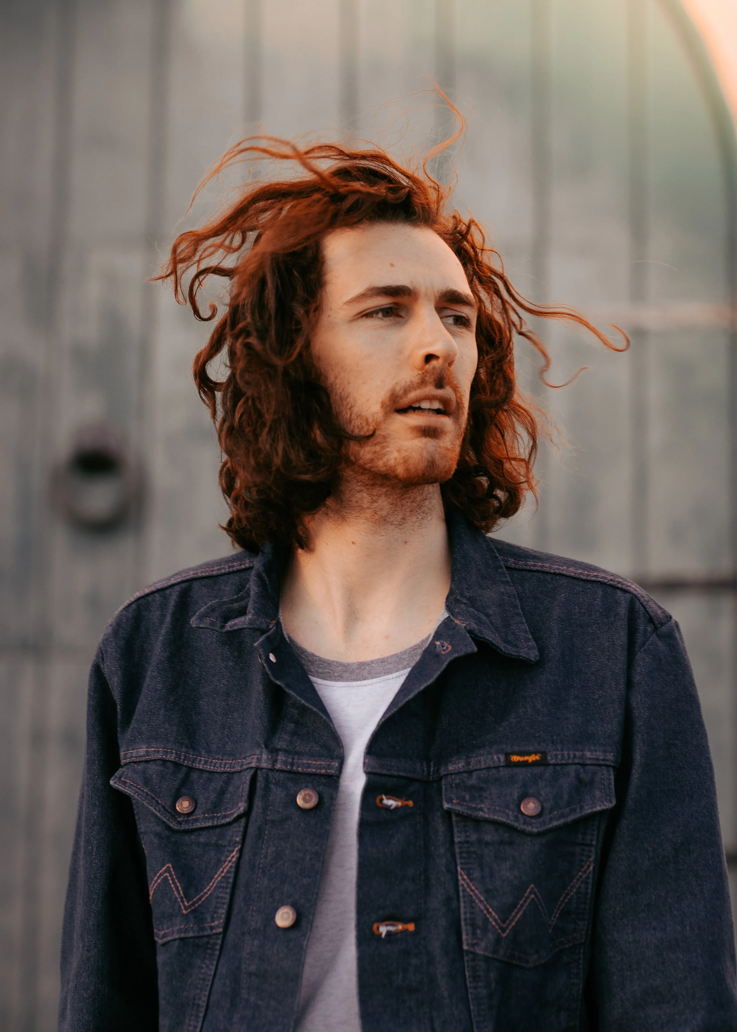 Hozier Santa Barbara-3.jpg