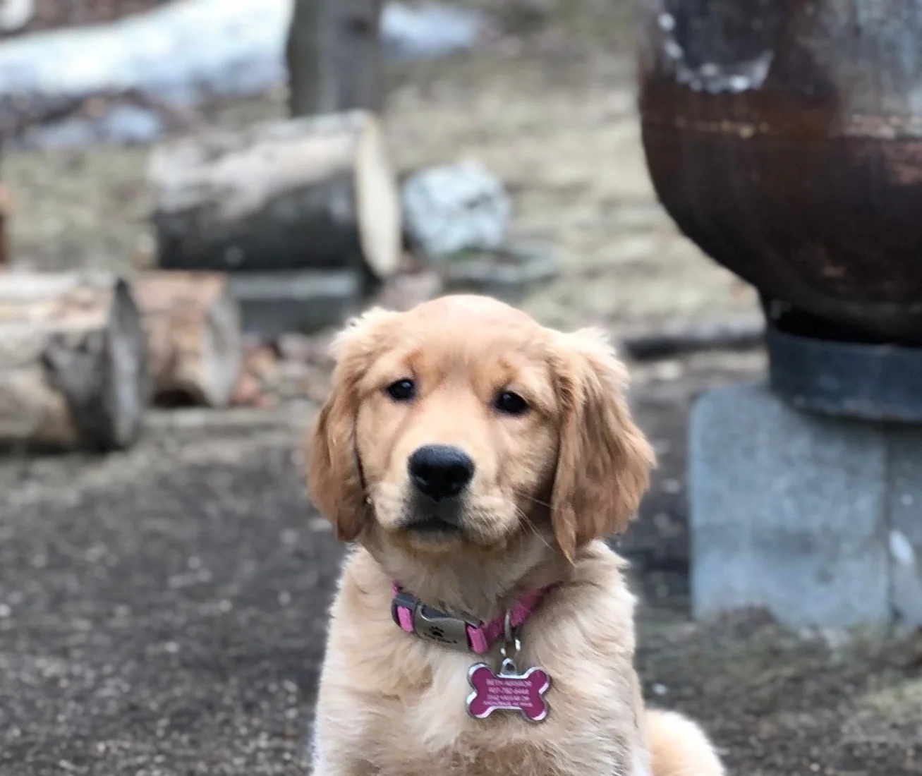 Miss Minnie!