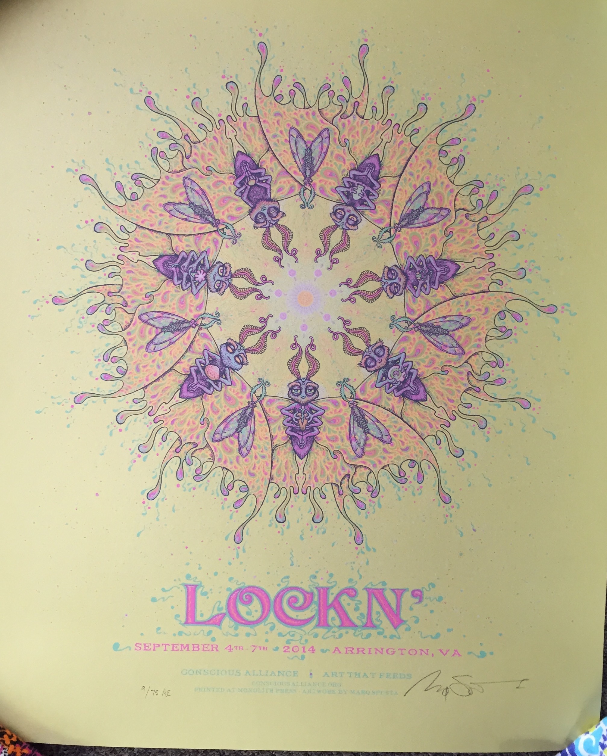 Lockn' 2014 18" x 22"