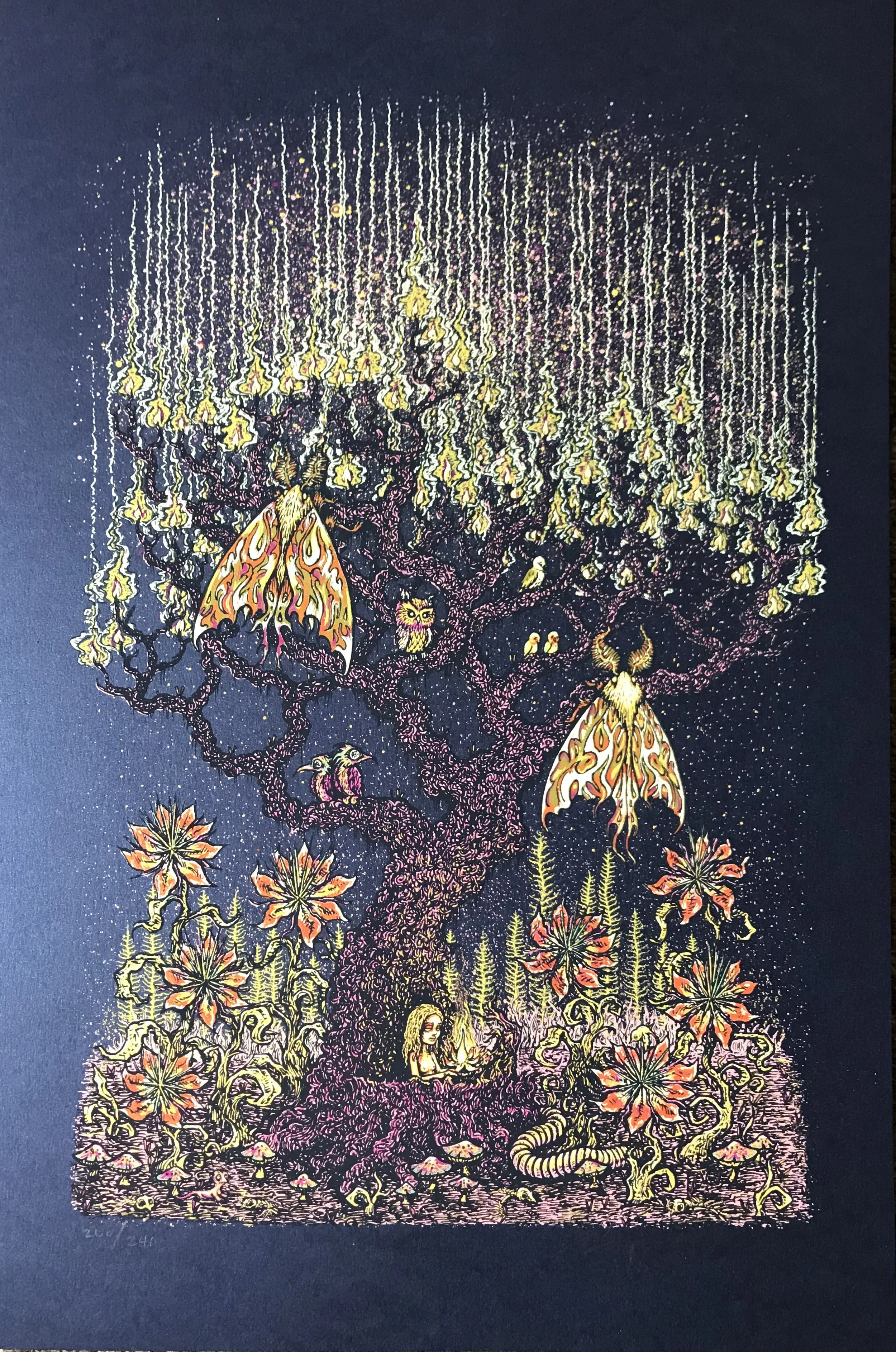 $150 Main Edition numbered out of 240