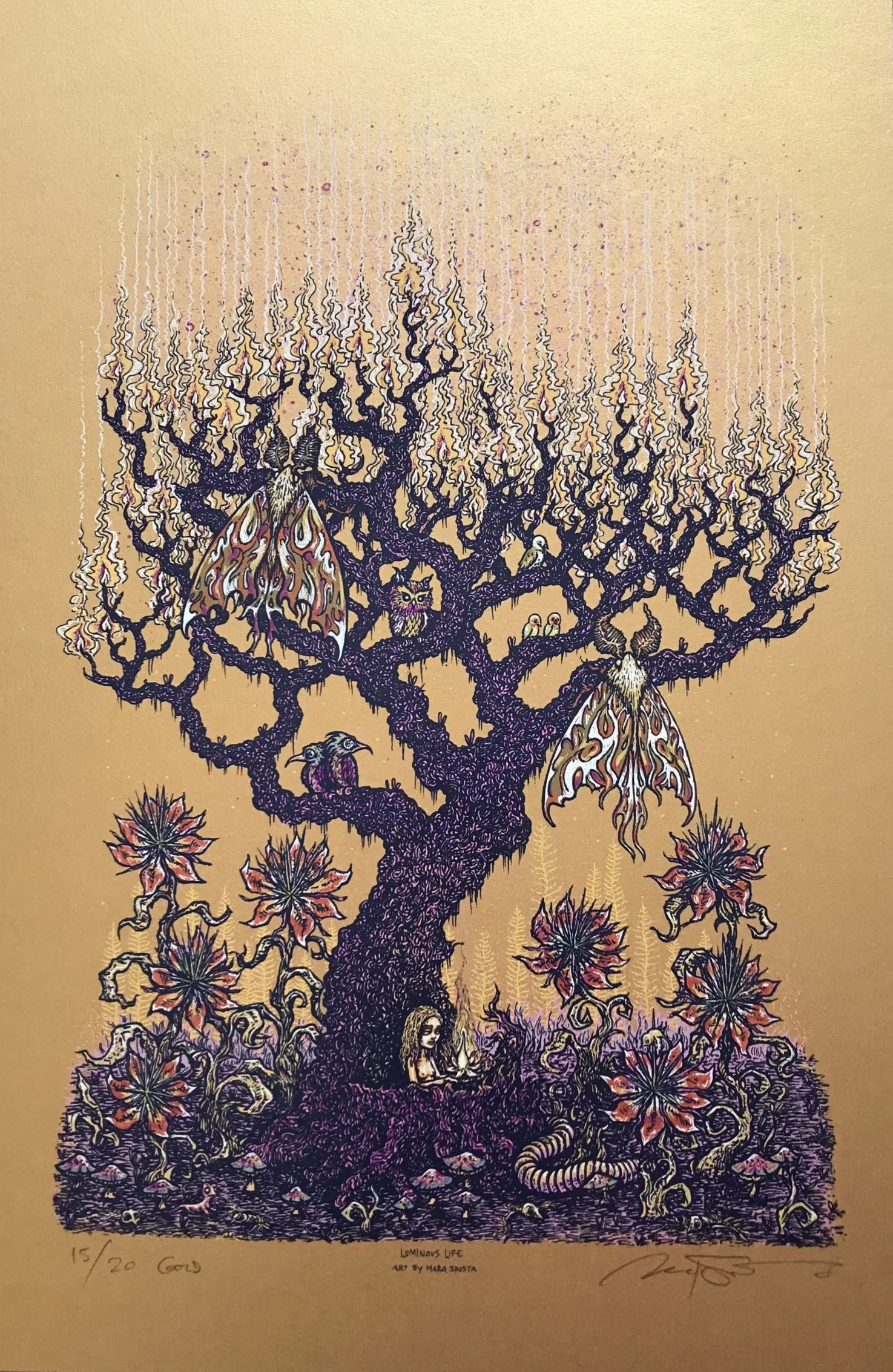 Luminous Life was a part of a lotto that raised about $800 for the Natural Resources Defense Council in Jan 2018