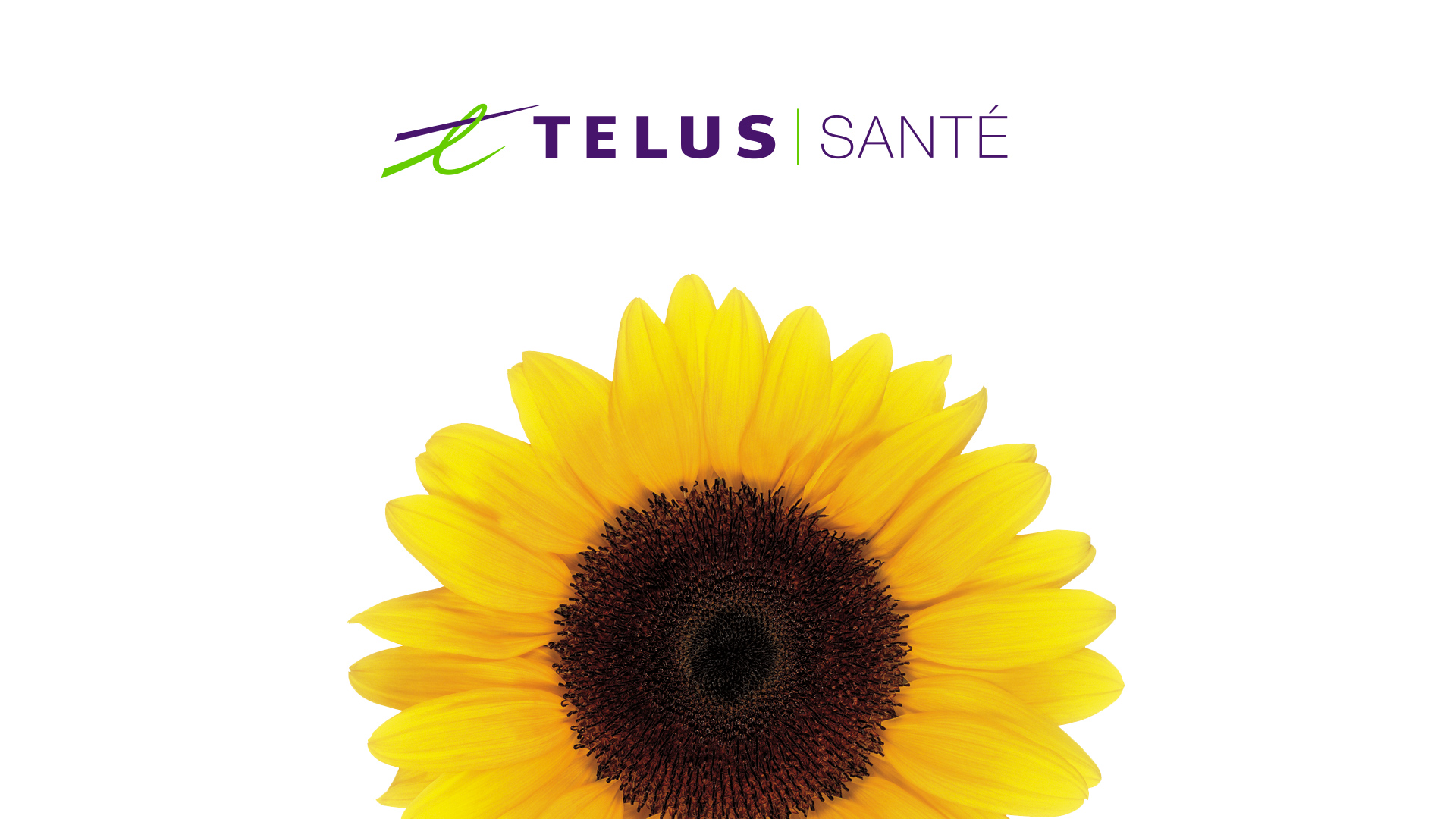 TELUS-EMR-Boards-Version-2-3-1.jpg