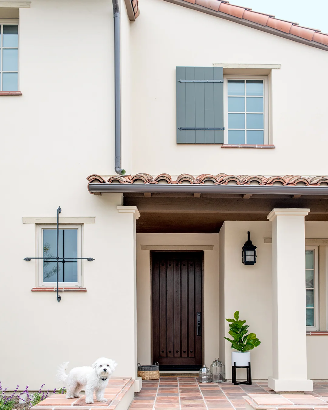 LygiaHarkins_SanClemente_014_web.jpg
