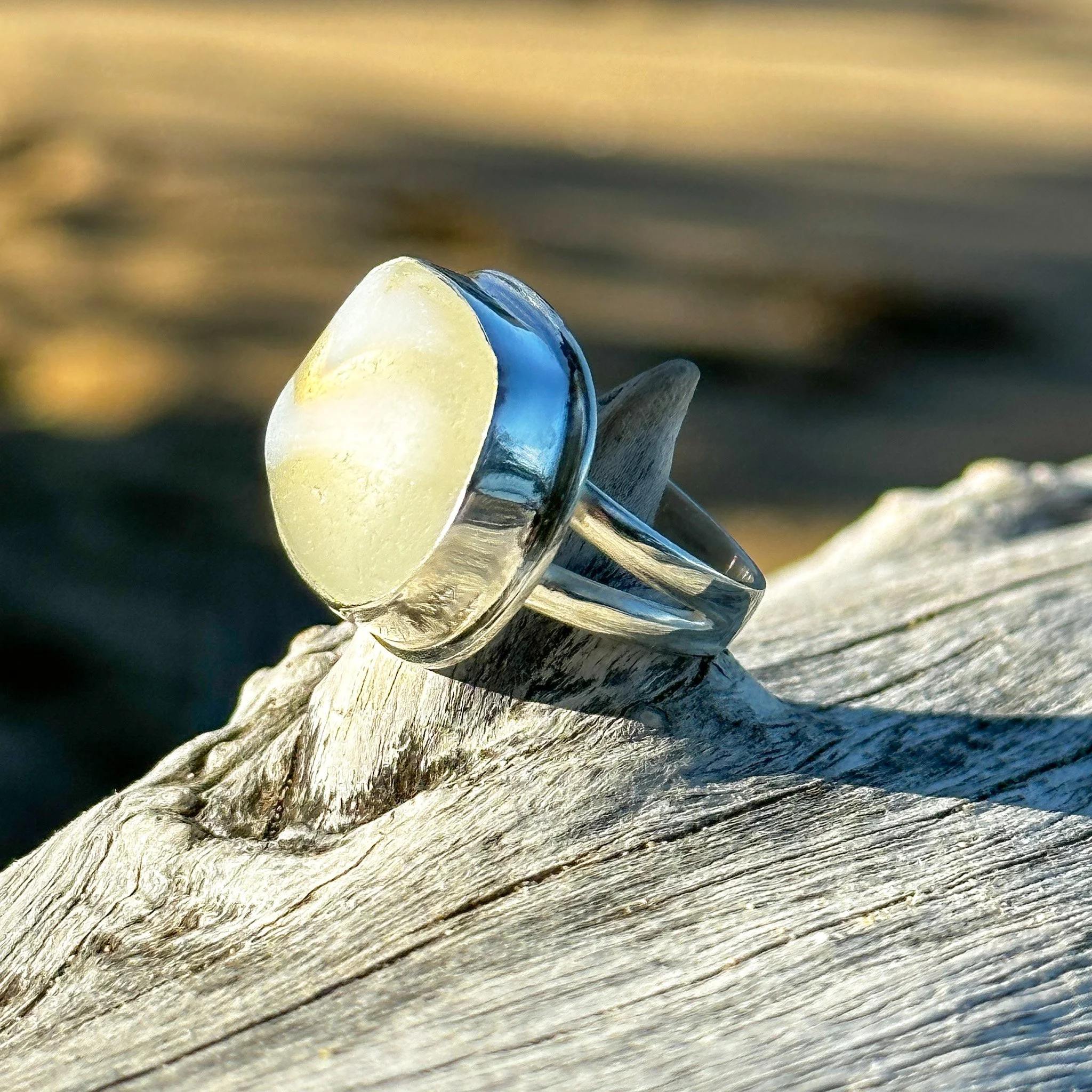 IMG_6255.jpg
