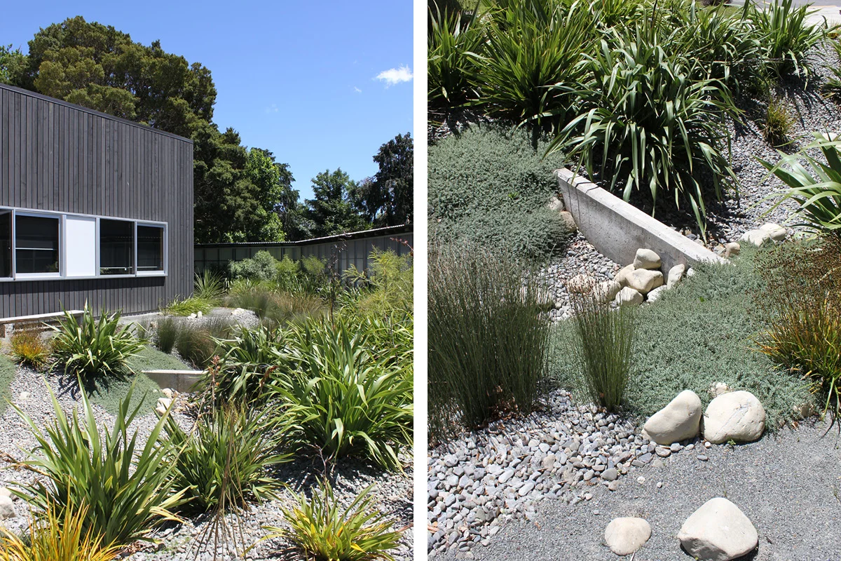 MAF Ecological Garden