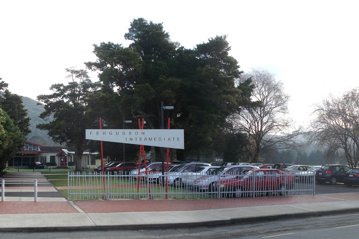 Fergusson School
