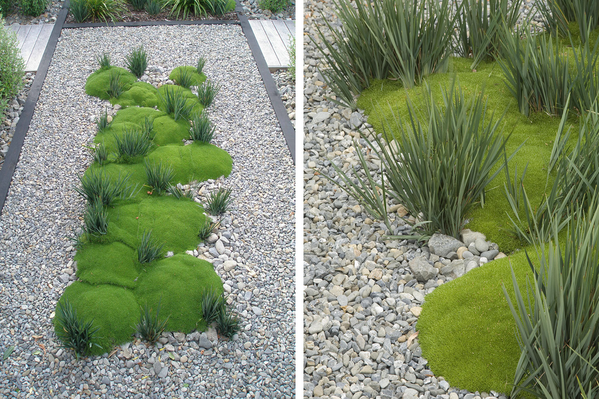 Raumati Garden