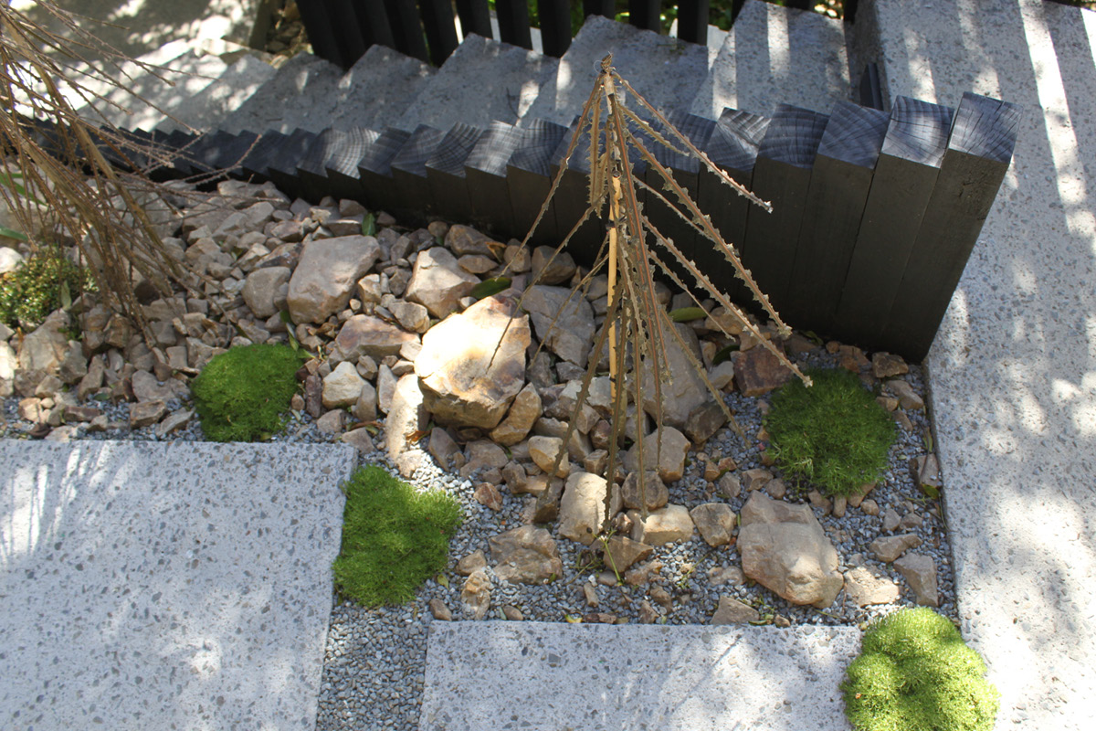 Roseneath Garden