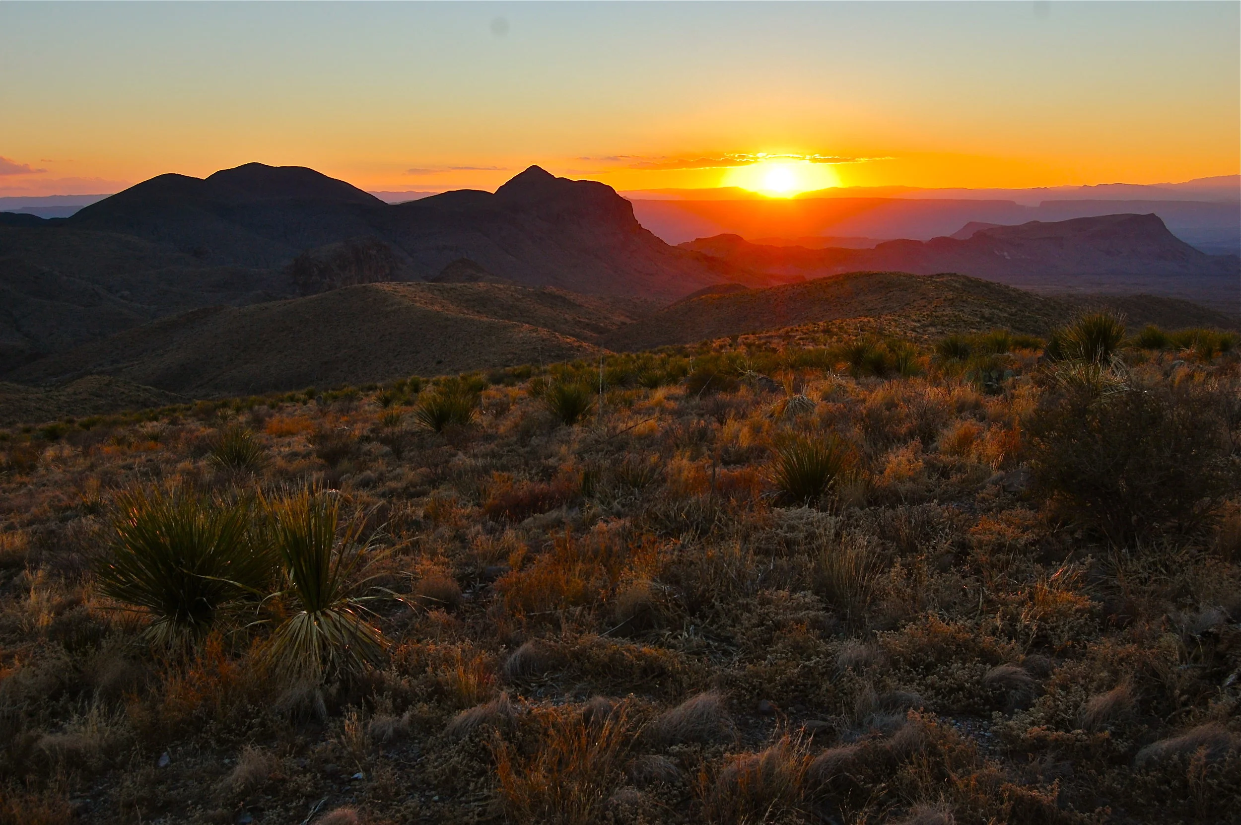 Sotol Vista in Big Bend National Park