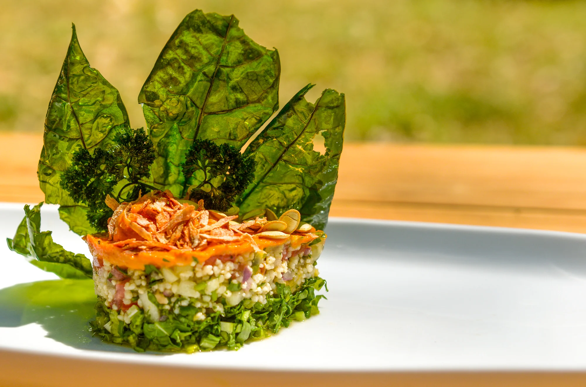 Couscous-with-maracuja-on-arugula-with-a-jalepeno-and-grilled-peppers-mayonnaise-with-deep-fried-Mayan-tree-spinach.jpg