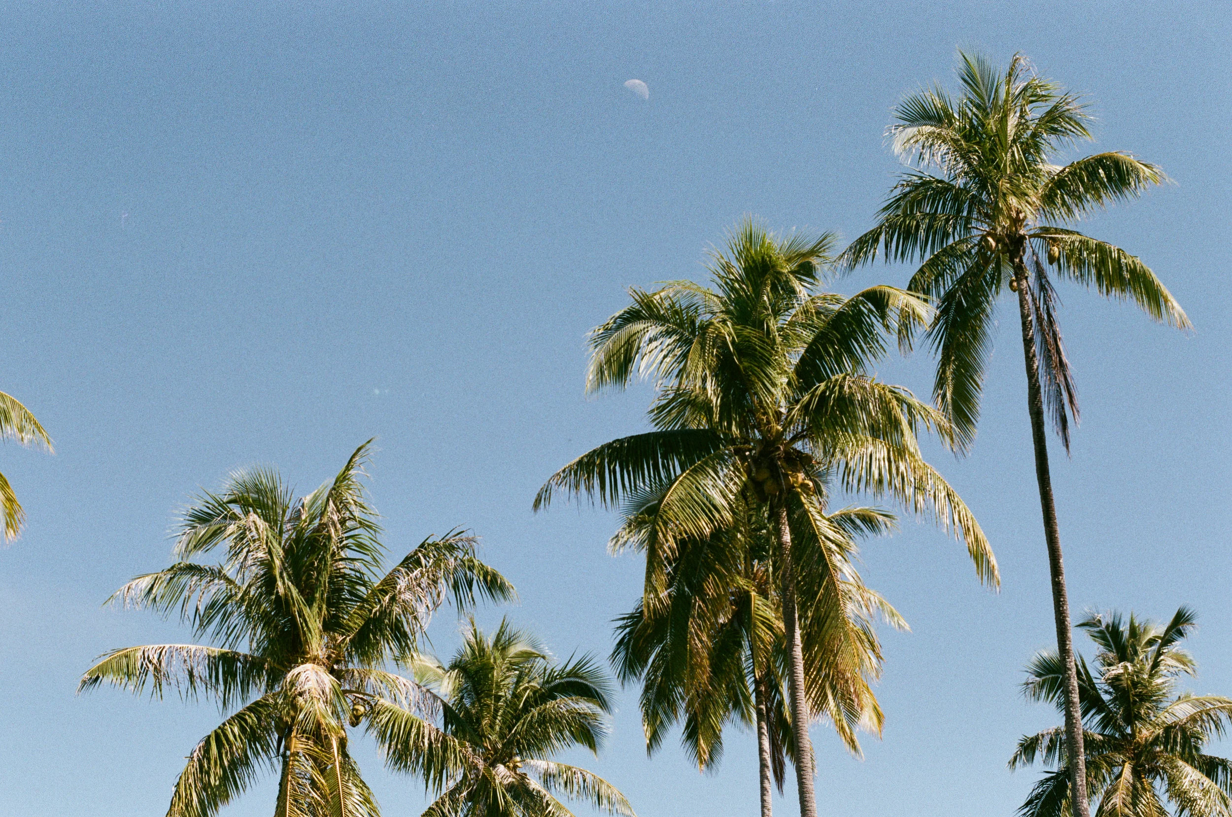 7206-010.jpg