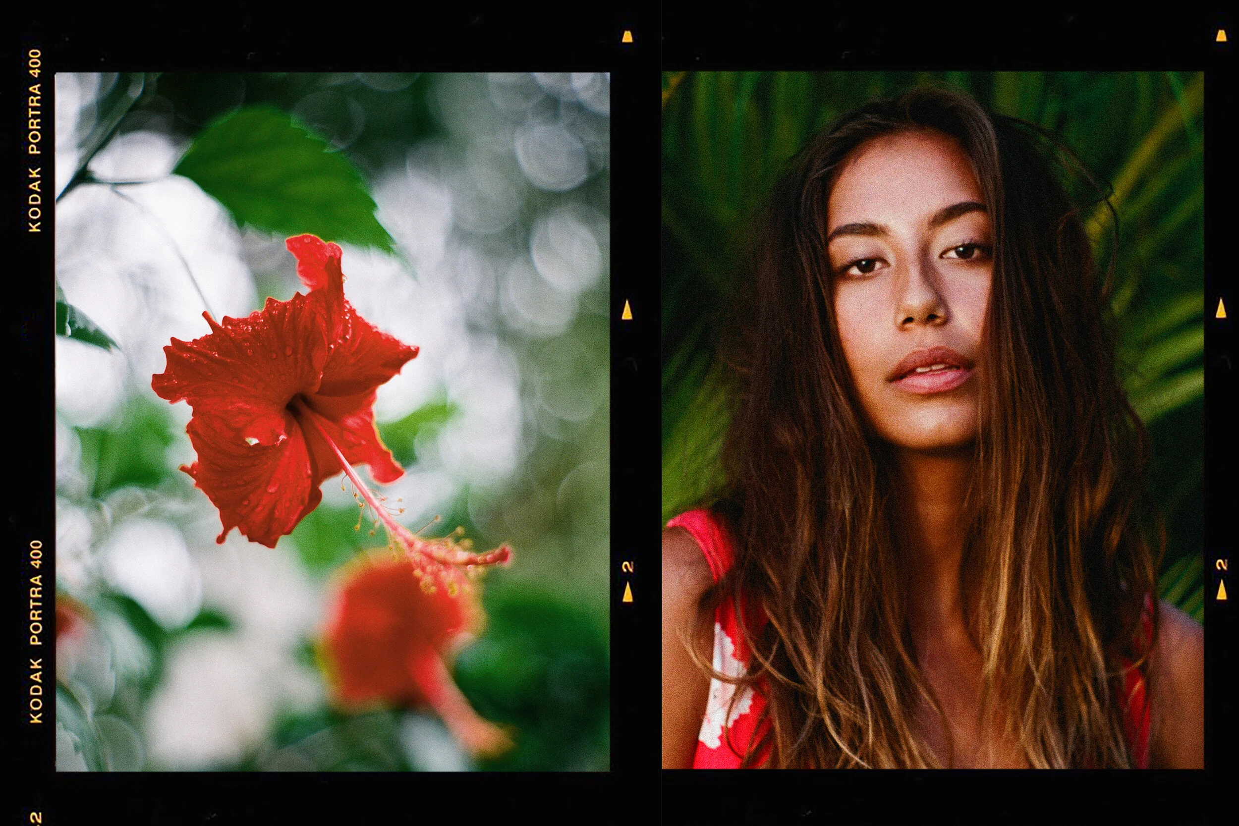 tahiti0000.jpg