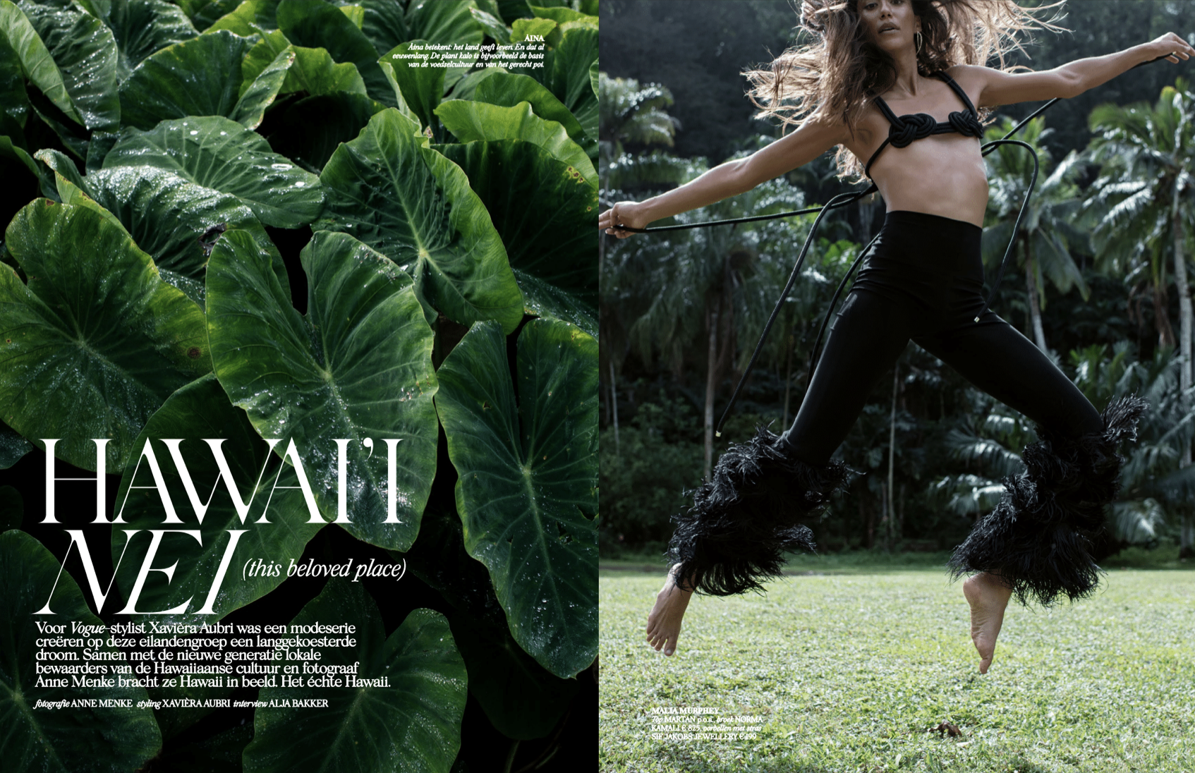 Screenshot 2026-01-04 at 11.40.16 AM.png