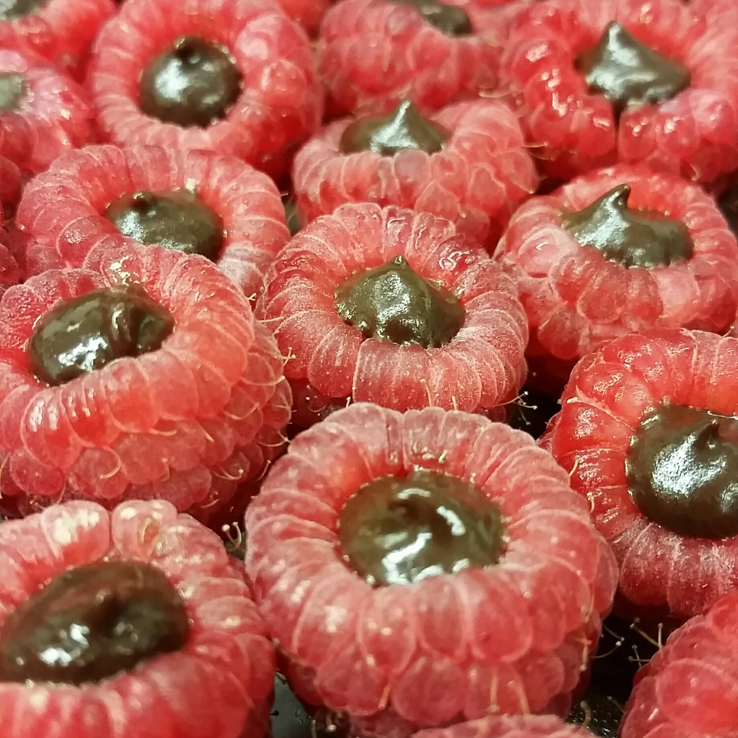 Raspberries stuffed with our bittersweet chocolate ganache.