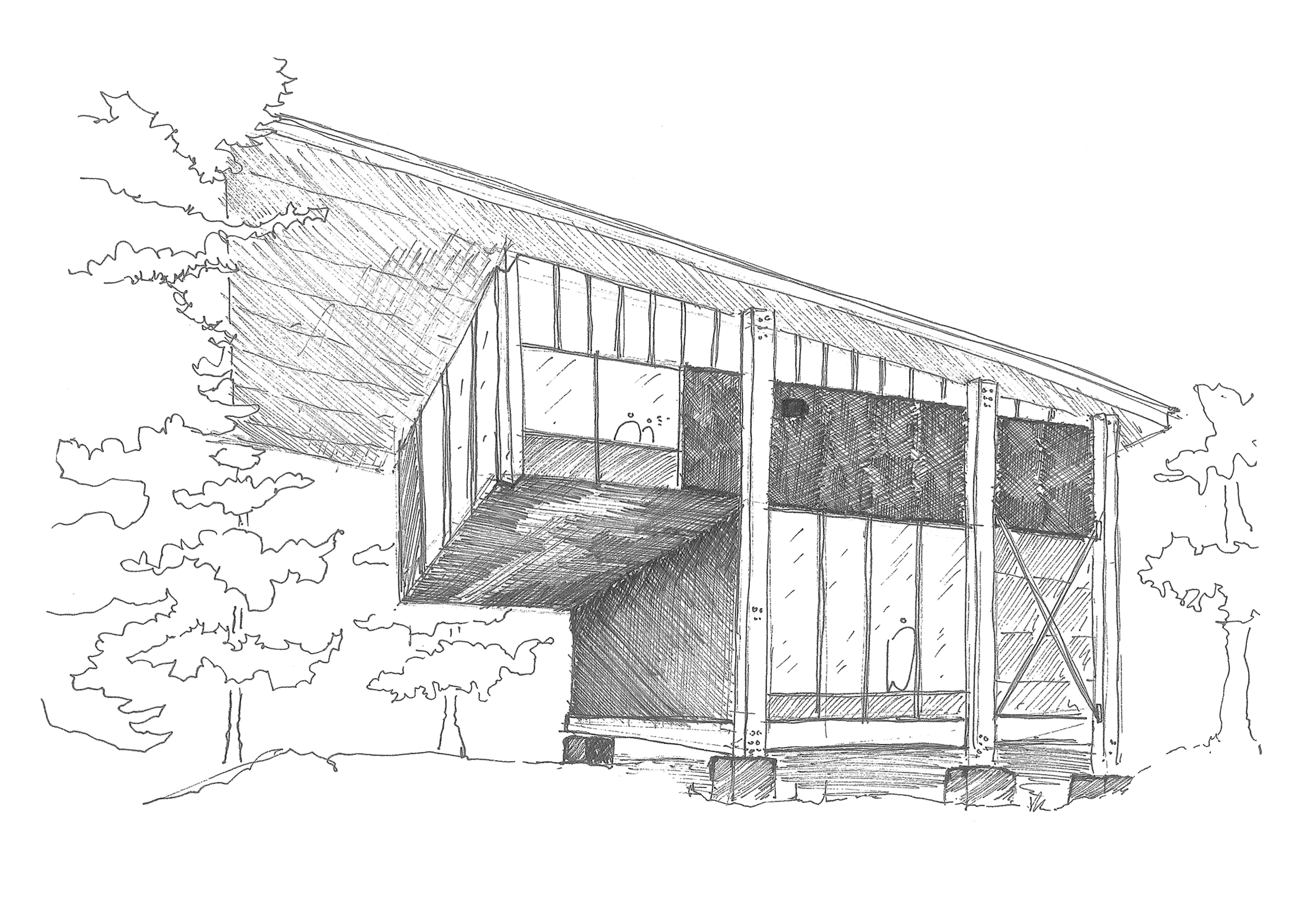 sketch - 5.jpg