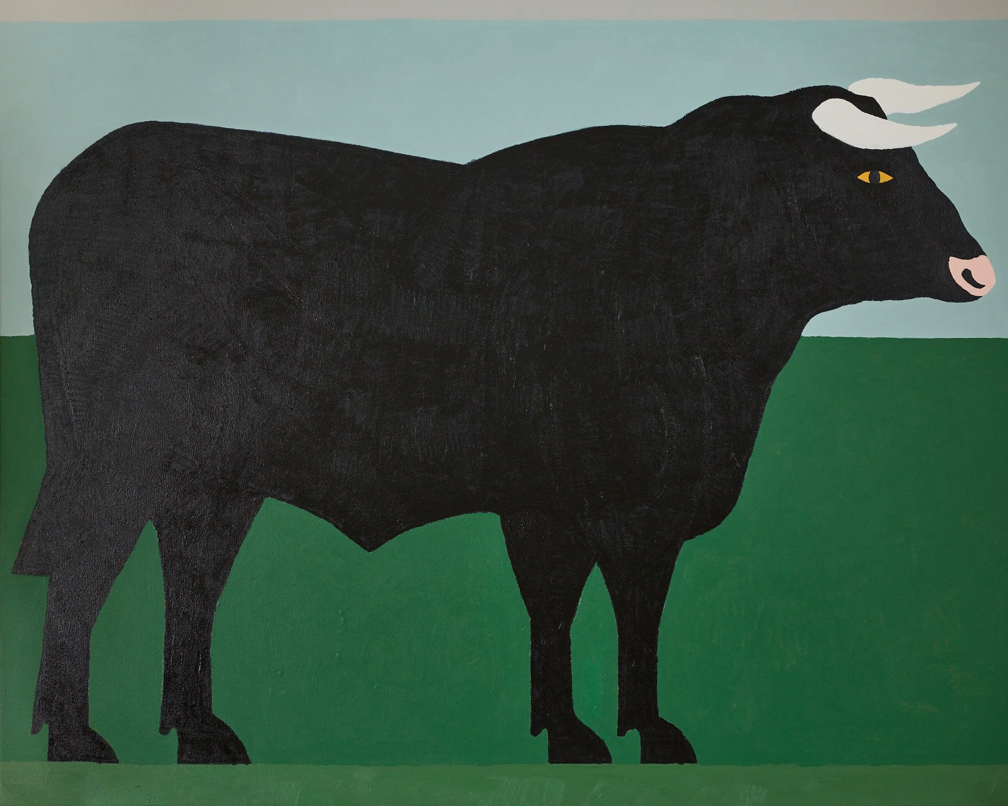 BLACK BULL STANDING IN A GREEN FIELD