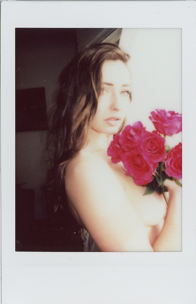 roses.5.jpg