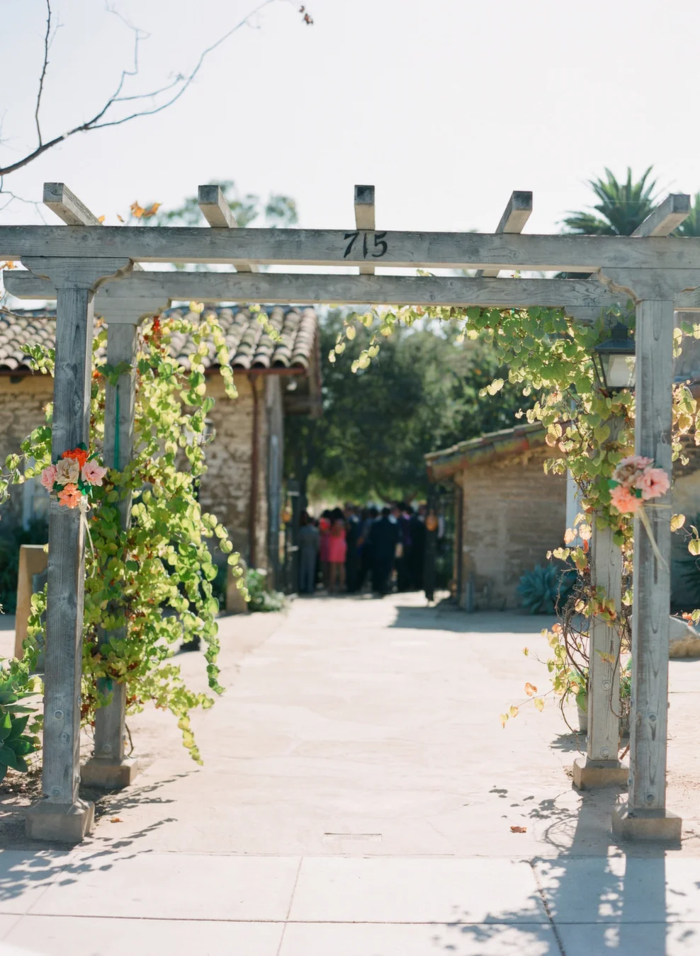 Iacopelli 182-Contax.jpg