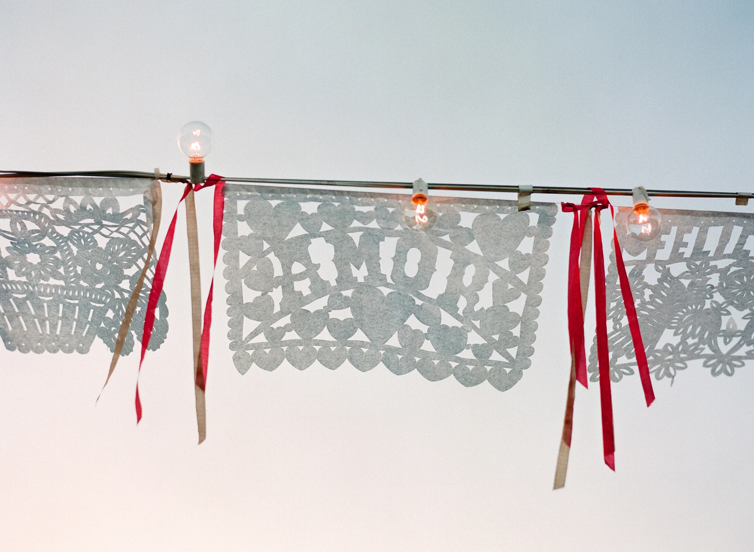 Iacopelli 264-Contax.JPG