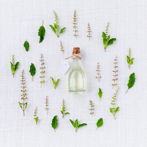 aroma-906137__480.jpg