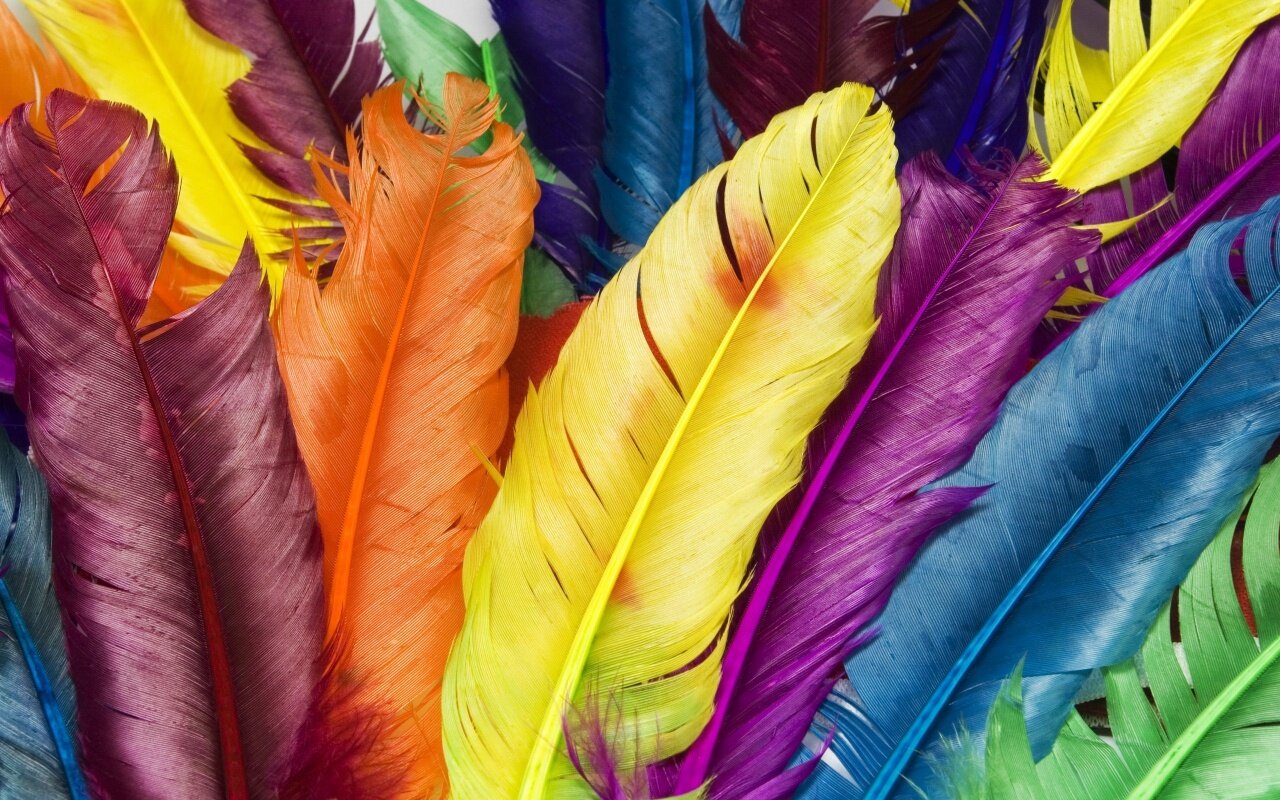 background feathers.jpg
