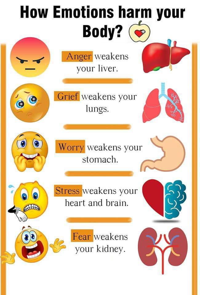 emotions and the body.jpg