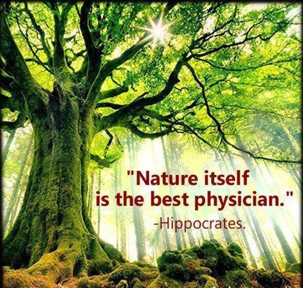hippocrates_nature.jpg