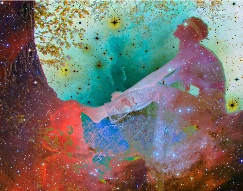Journey into the Cosmos by Larry Carison from W Floyd.jpg