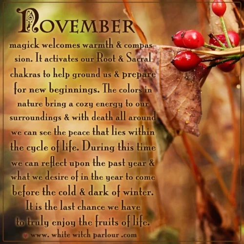Nov meaning.jpg