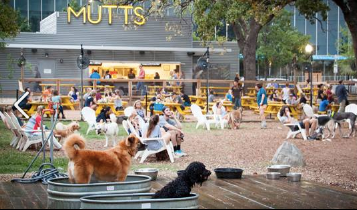 Mutt Day
