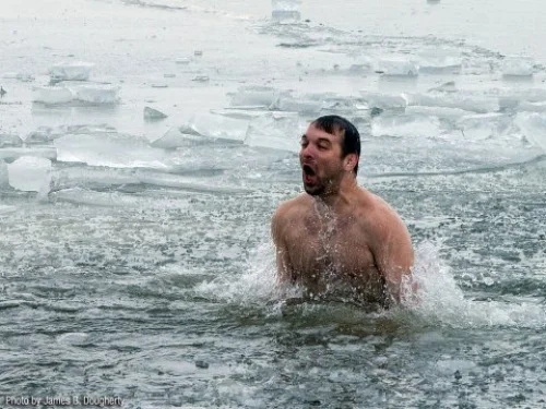 Polar Bear Plunge