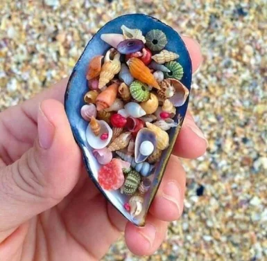 Treasures from the Sea