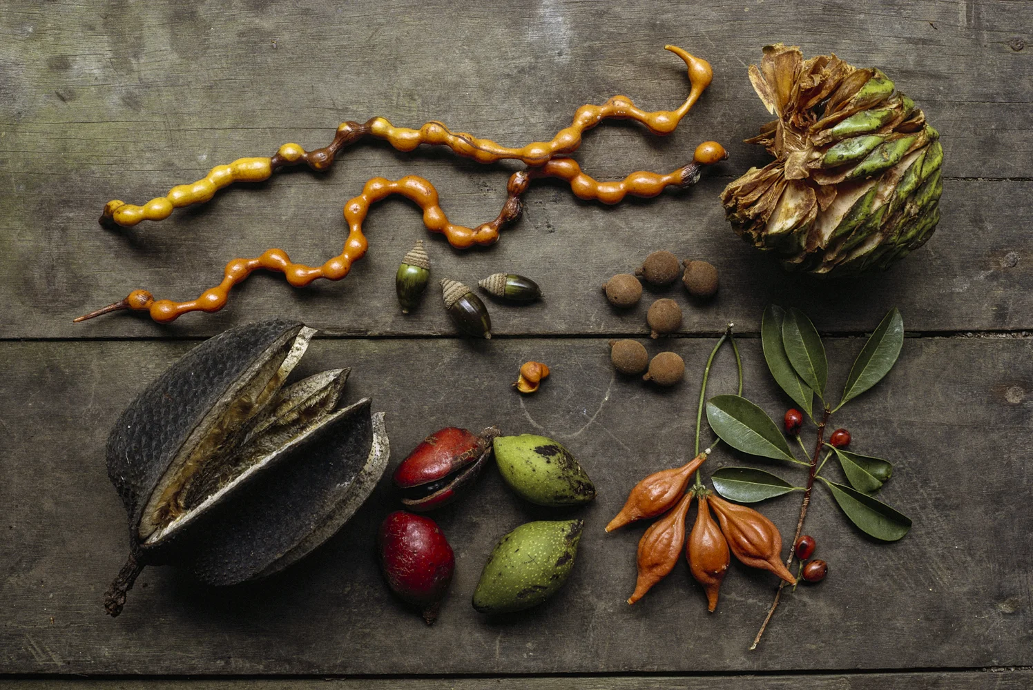 National Seed Swap Day
