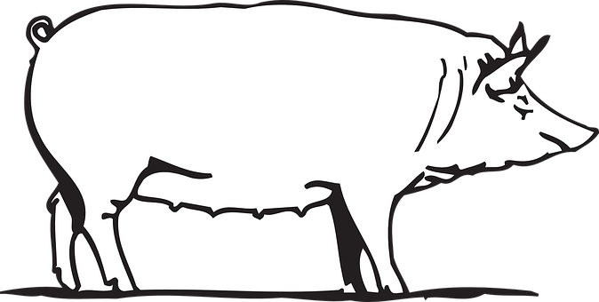 the Pig.png