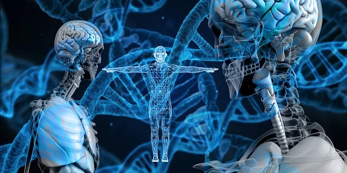 DNA Sequence.jpg