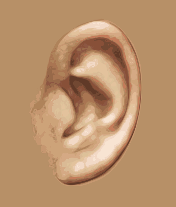 Ear.png