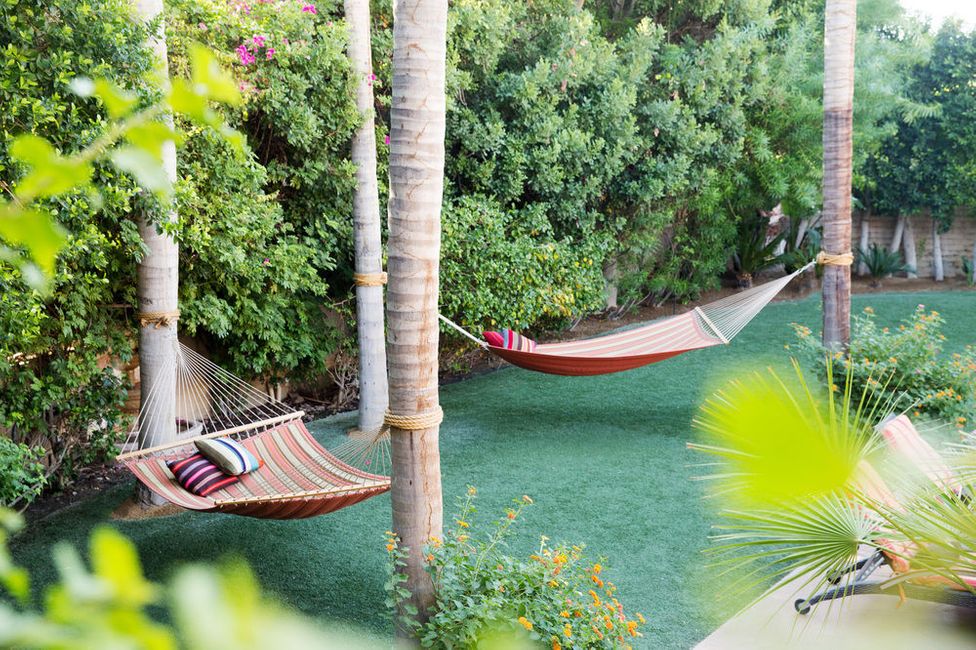 Palms and Hammocks