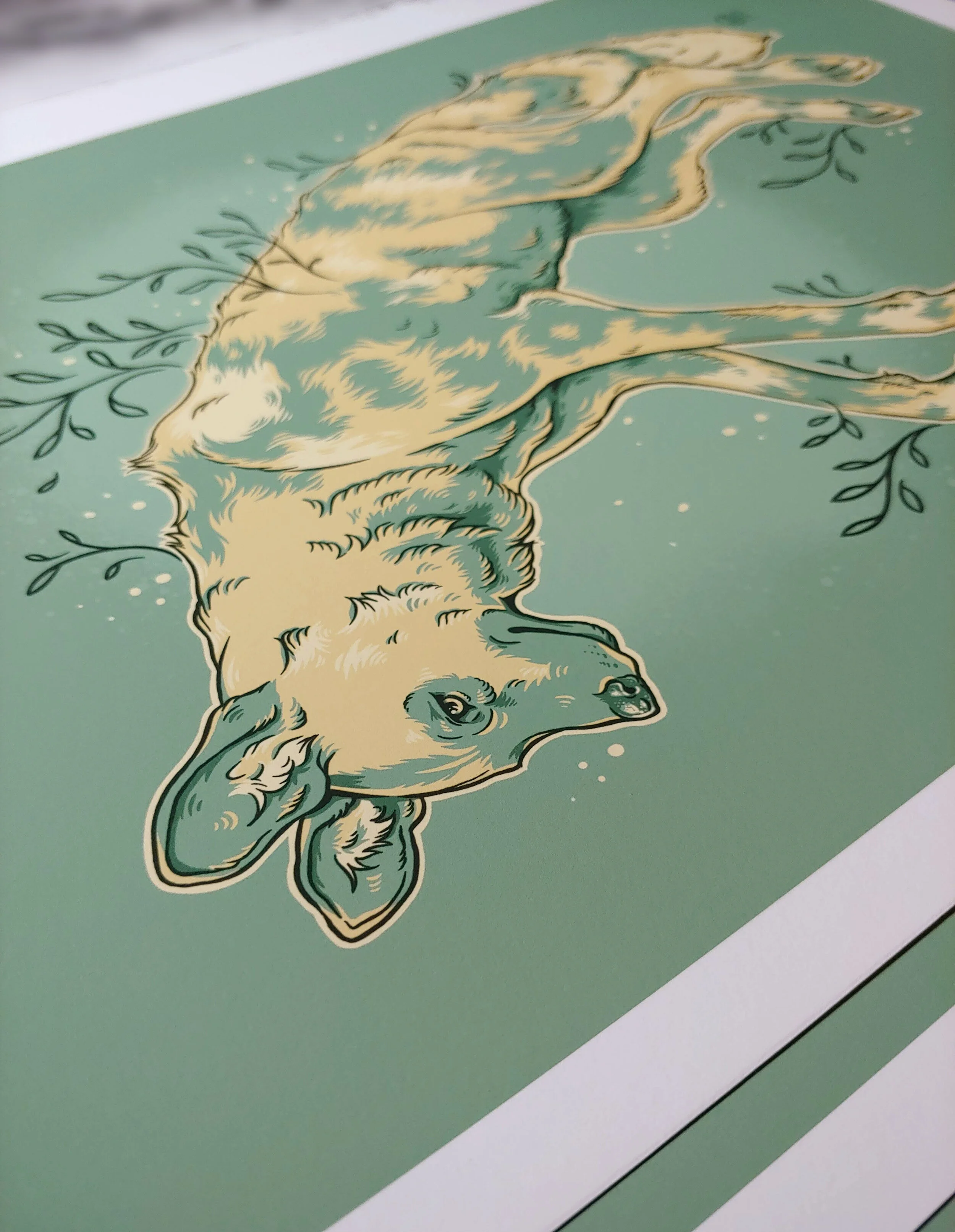 Painted Dog Spirit_1.jpg